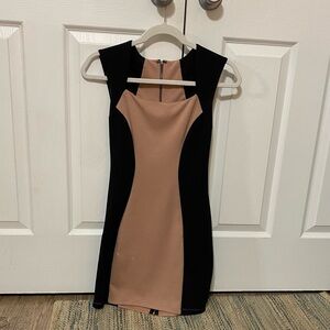 Elegant Black and Tan Women's Dress